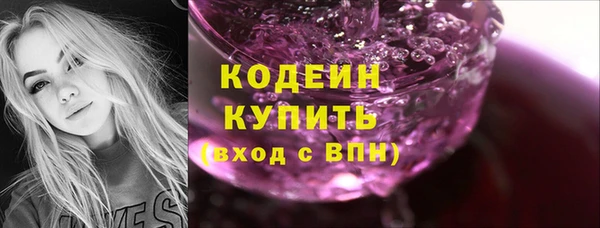 apvp Вяземский