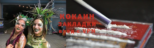apvp Вяземский