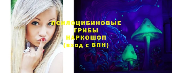 apvp Вяземский