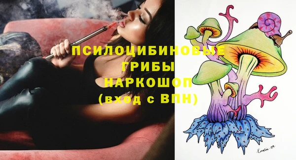 apvp Вяземский