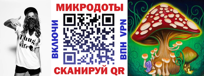 Псилоцибиновые грибы Psilocybe Оленегорск